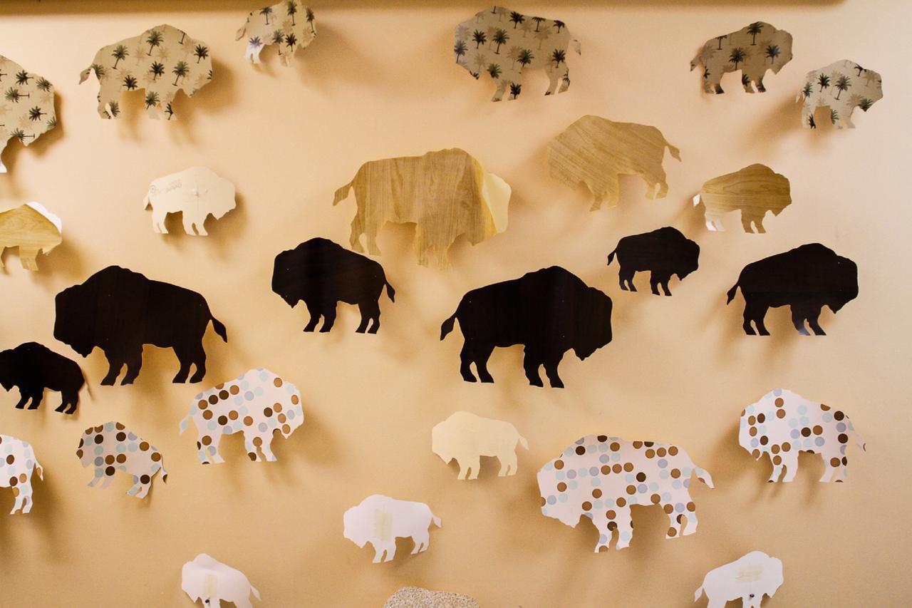 Buffalo-niagara * Búfalo